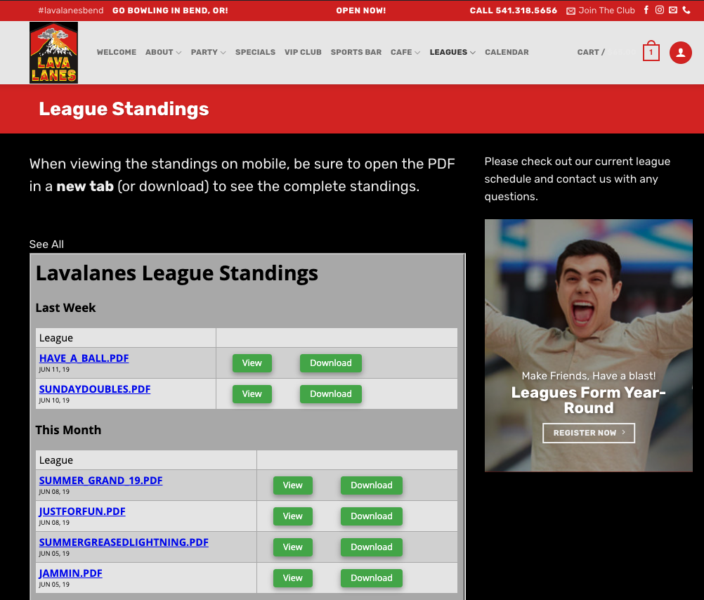 Bowling League Secretary (BLS) Software Integration - Image 2