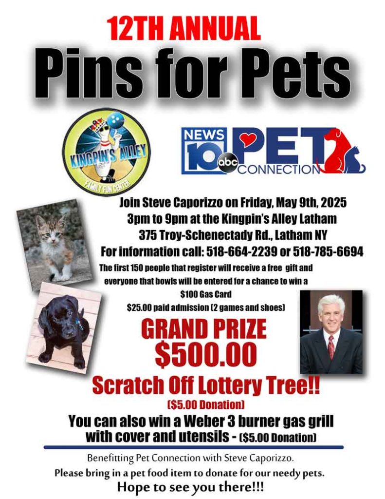 pet connection flyer